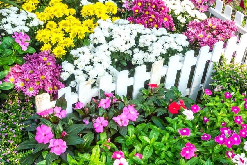 Ukrasna ograda za vrtlarstvo: kreativni ukras cvjetnih gredica i platformi