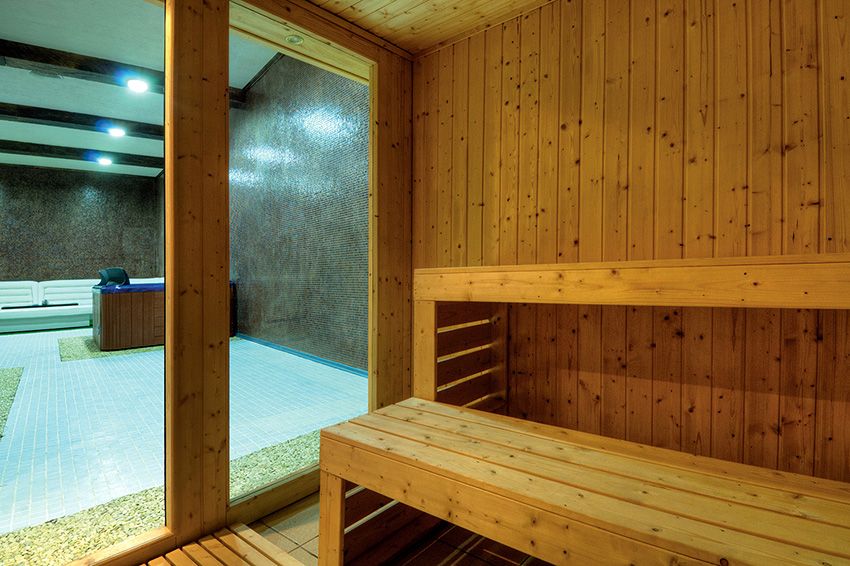 Vrata za kupke i saune: odaberite lijepe modele otporne na vlagu