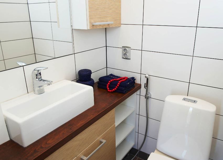 Higijenski toaletni tuš s miješalicom: dostojna alternativa bideu