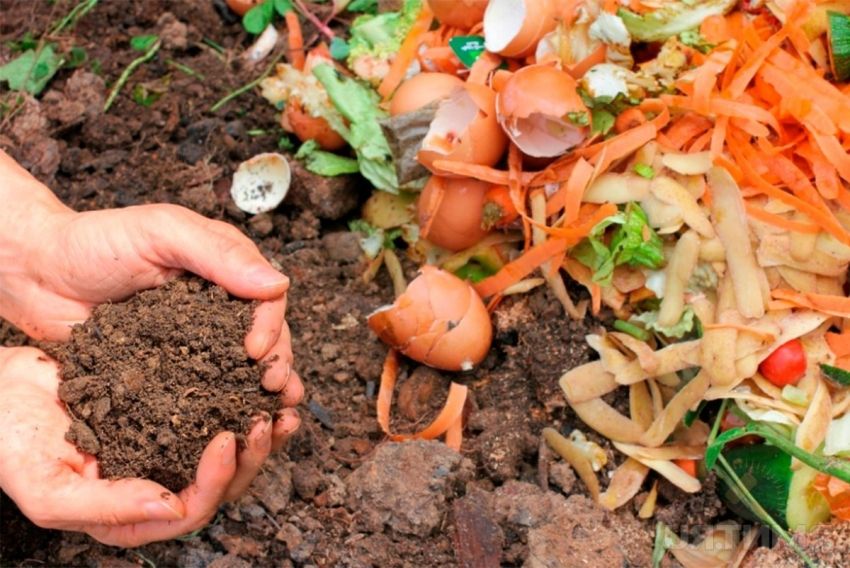 Kompost jama vlastitim rukama: opcije za proizvodnju i dizajn
