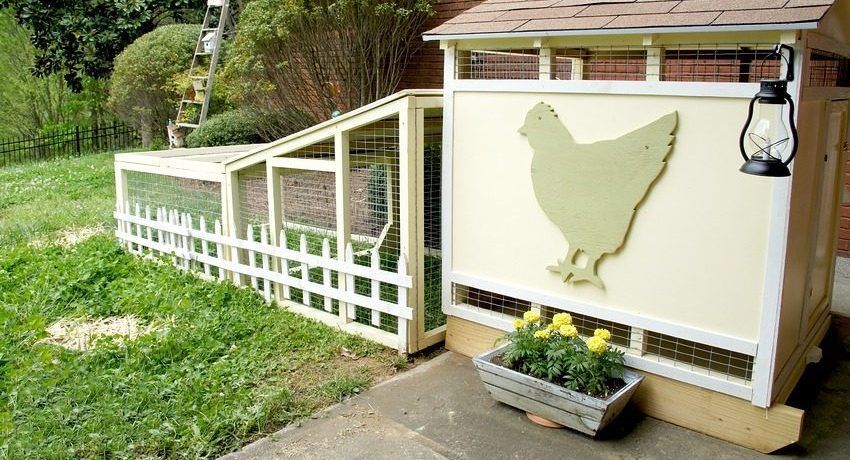 Do-it-yourself kokošinjac na 10 pilića: crteži i konstrukcijske značajke