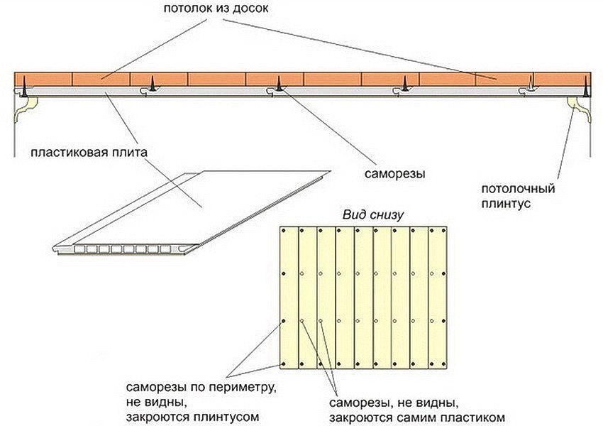 PVC paneli: dimenzije i karakteristike proizvoda za zidove i stropove