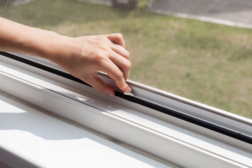 Mreže protiv komaraca na prozorima: pouzdana ograda od insekata, prašine i pusta