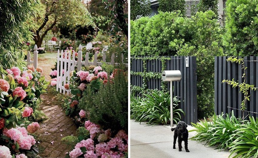Ograde za kućice: fotografije jeftinog i modernog dizajna