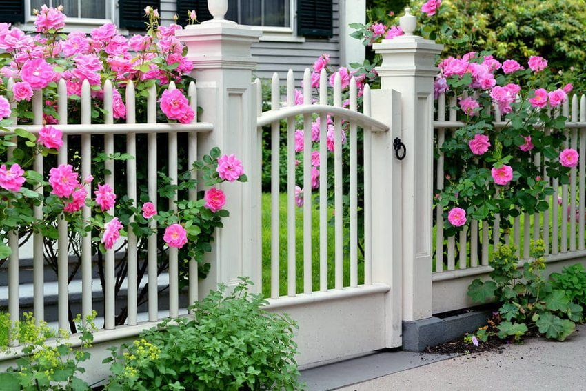 Ograde i ograde za kuću. Zbirka fotografija sjajnih ideja