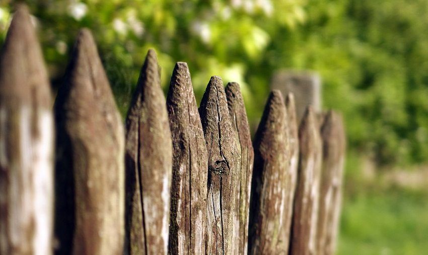 Drvene ograde: fotografije u modernoj verziji