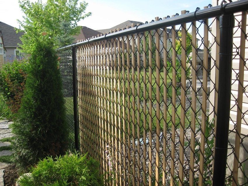 Ograde od rešetkastih giter, ograde od rešetke lančanog lanca. Fotografije dobrih opcija